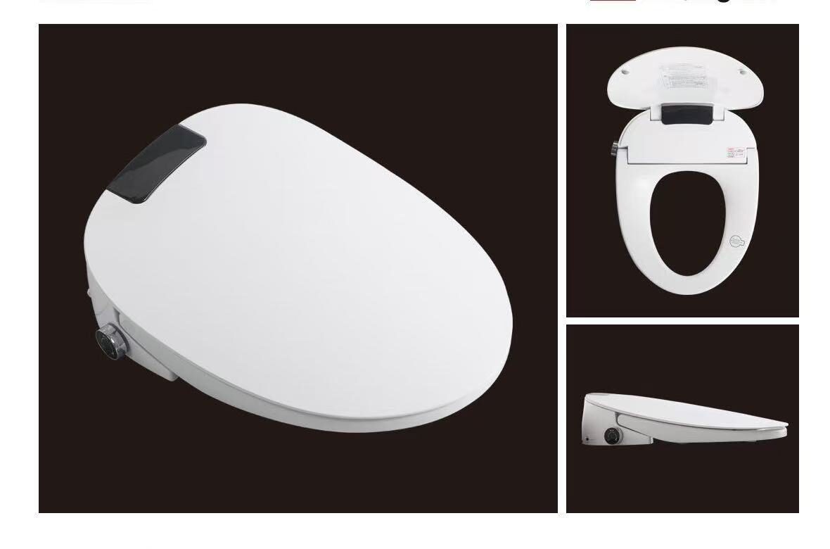 Inodoro inteligente 1201C